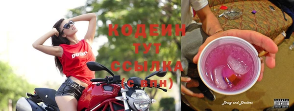мяу мяу мука Алзамай